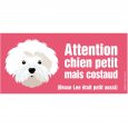 bichon maltais portail