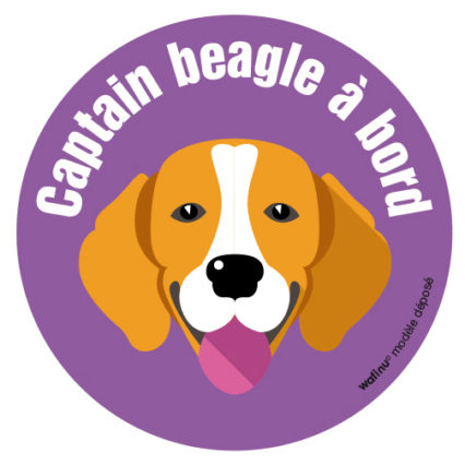 Le beagle (autocollant)