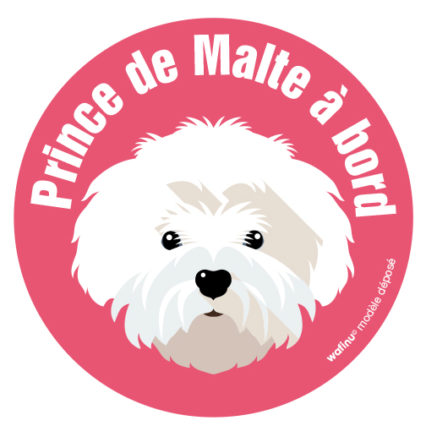 Le bichon maltais (autocollant)