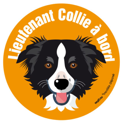 Le Border Collie (autocollant)