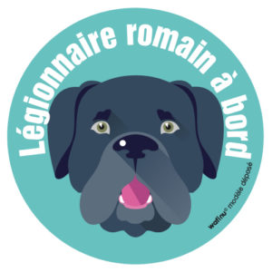 Le cane corso (autocollant)