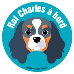 Le Cavalier King Charles (autocollant)