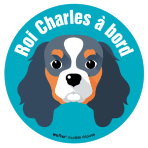 Le Cavalier King Charles (autocollant)