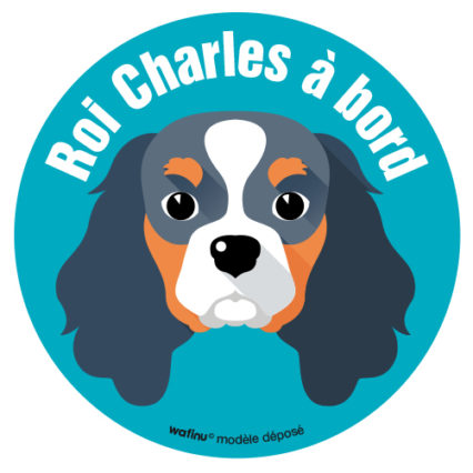 Le Cavalier King Charles (autocollant)