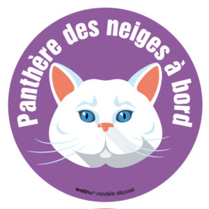 Le chat blanc (autocollant)
