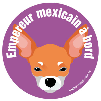 Le chihuahua (autocollant)
