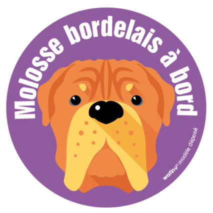 Le dogue de Bordeaux (autocollant)