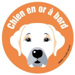 Le labrador/golden (autocollant)