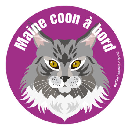 Le chat Maine coon (autocollant)