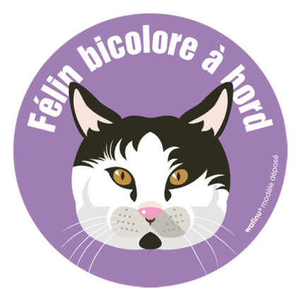 Le chat noir et blanc (autocollant)