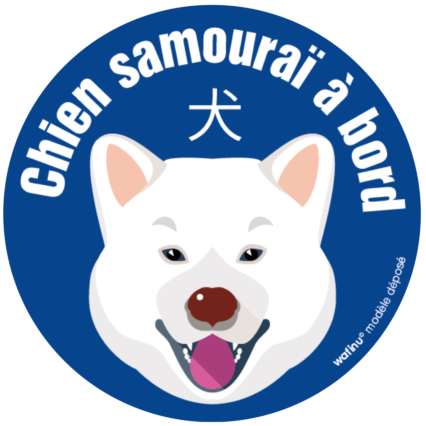 Le Akita Inu (blanc)