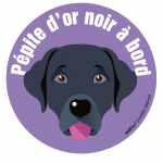 Le labrador noir (autocollant)