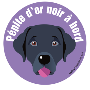 Le labrador noir (autocollant)