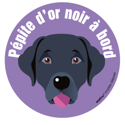 Le labrador noir (autocollant)