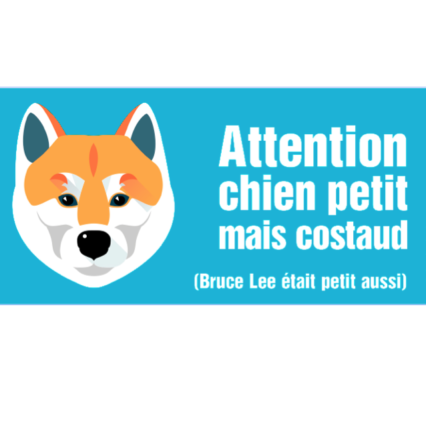 Le Shiba Inu (autocollant "Bruce Lee")