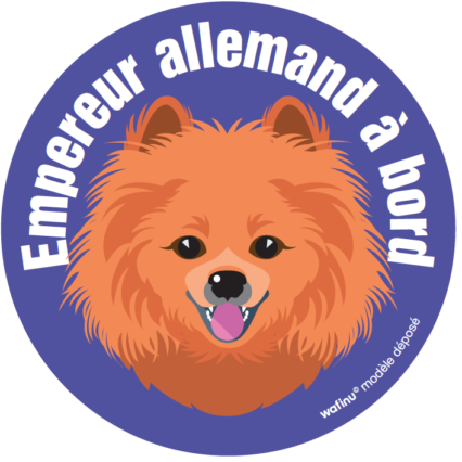 Le spitz (autocollant)