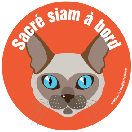 Le chat siamois (autocollant)