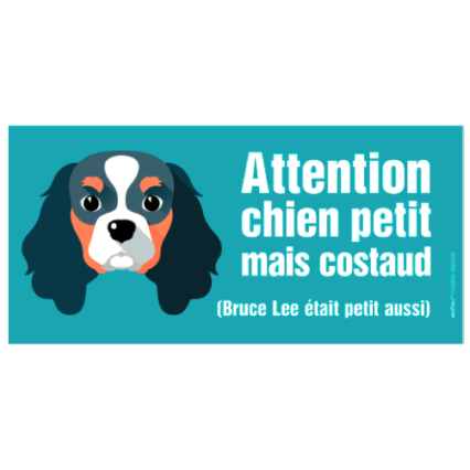 Le Cavalier King Charles (autocollant "Bruce Lee"