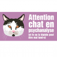 CHAT BICOLORE PORTAIL