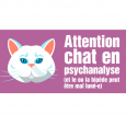 chat blanc portail