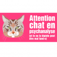 chat tigré portail