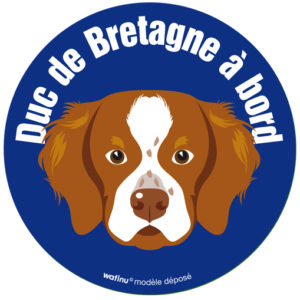 L'épagneul breton (Autocollant)