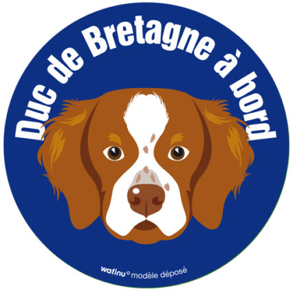 L'épagneul breton (Autocollant)