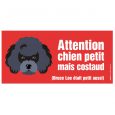 CANICHE PORTAIL