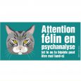 chat gris portail