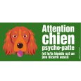 setter irlandais portail