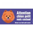 spitz portail